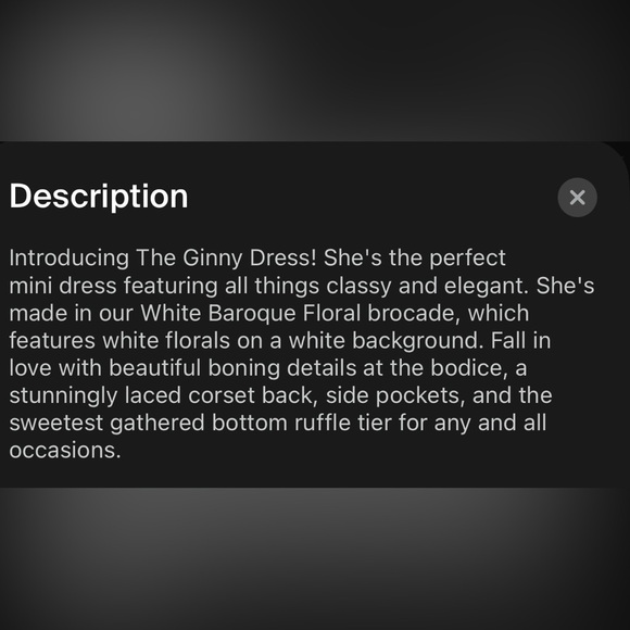 V. Chapman Ginny Dress in White Baroque Floral - Picture 5 of 5